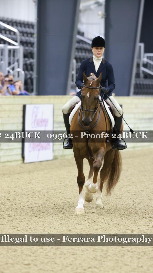Proof 24BUCK_09562