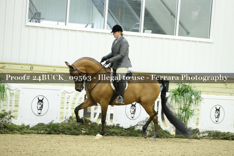 Proof 24BUCK_09563