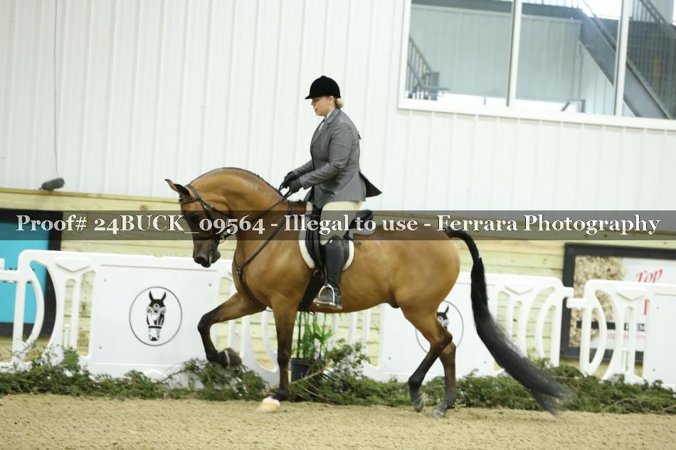 Proof 24BUCK_09564