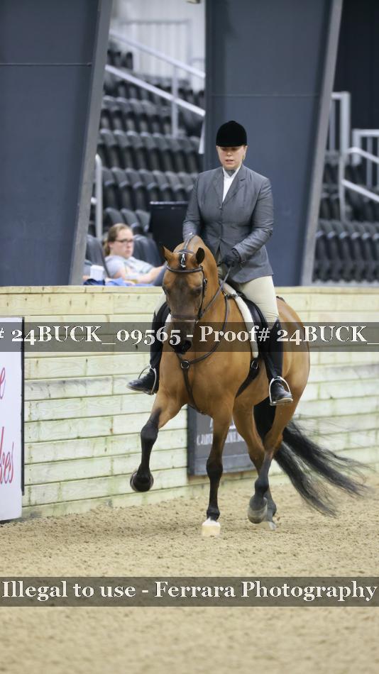 Proof 24BUCK_09565