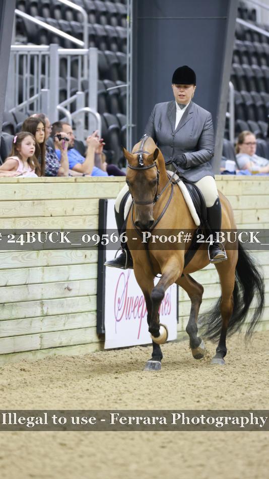 Proof 24BUCK_09566