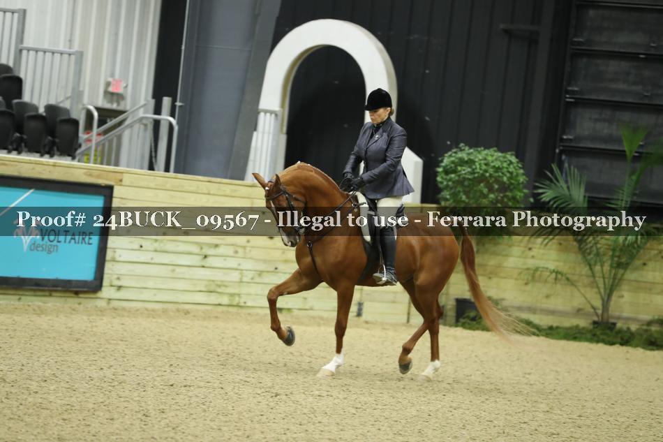 Proof 24BUCK_09567