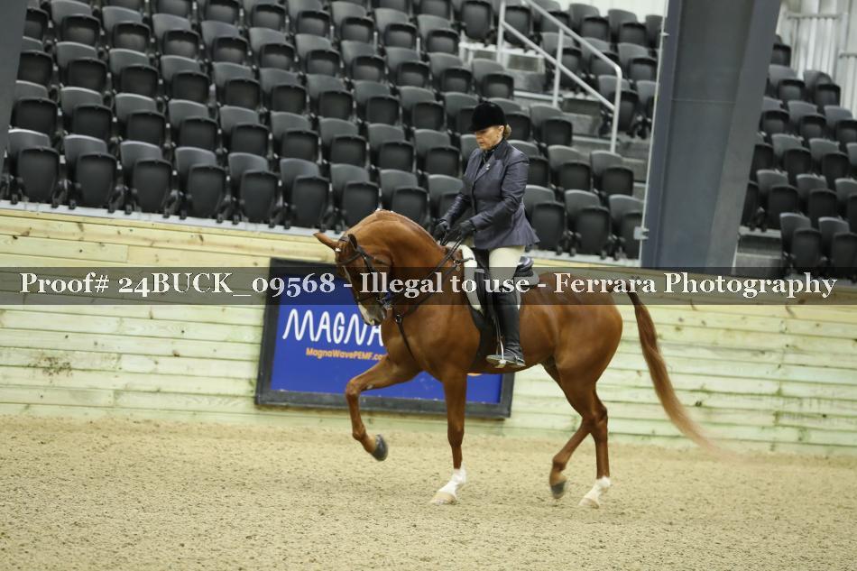 Proof 24BUCK_09568
