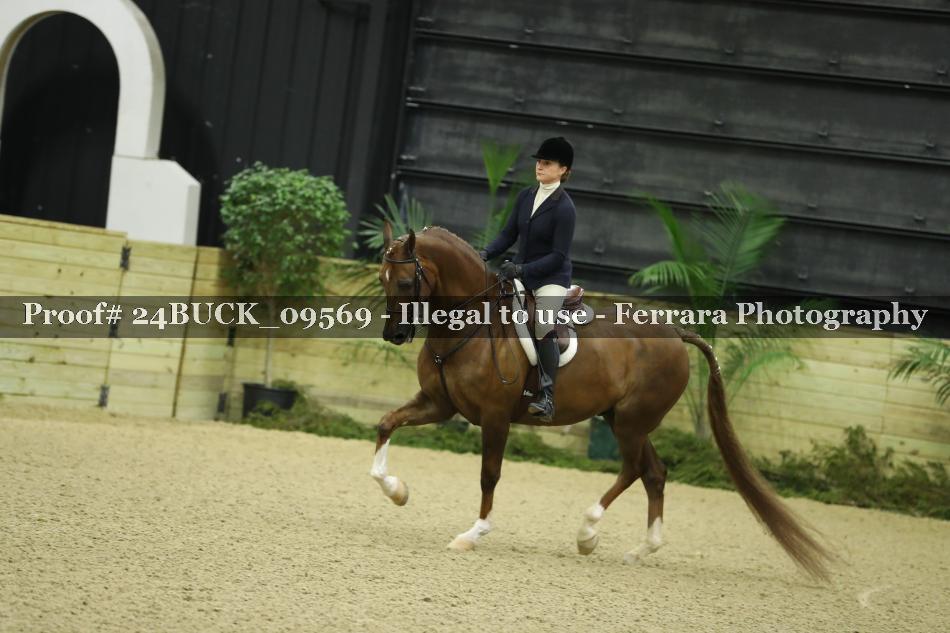 Proof 24BUCK_09569