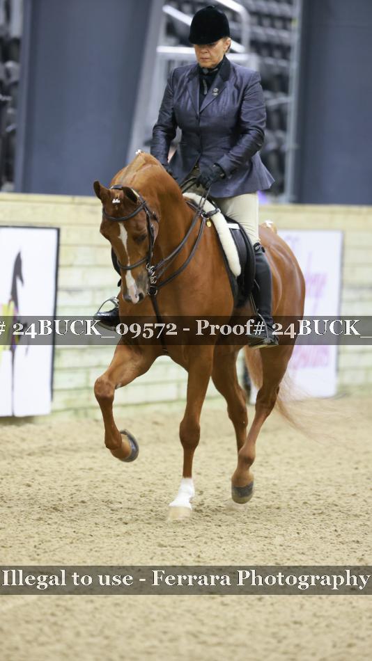 Proof 24BUCK_09572