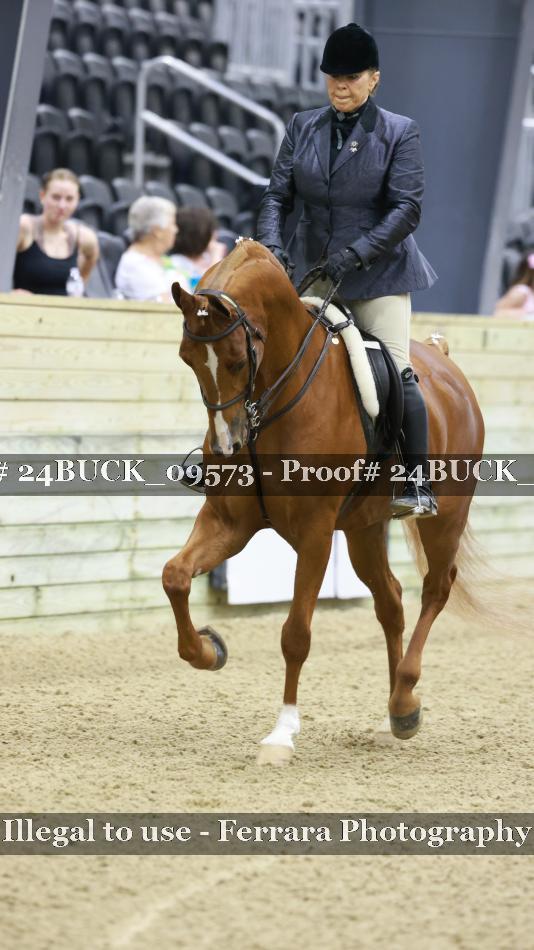 Proof 24BUCK_09573