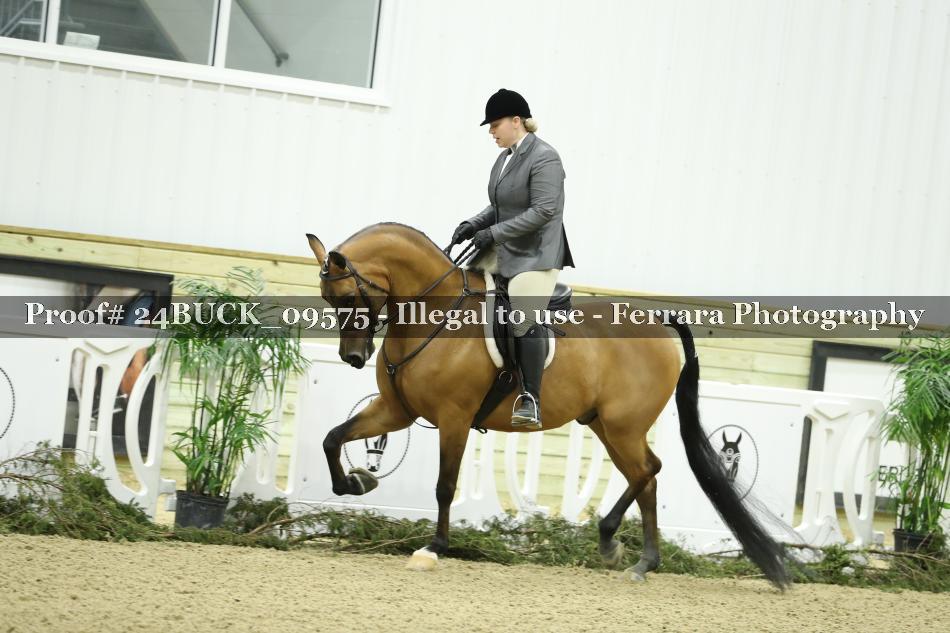 Proof 24BUCK_09575