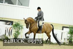 24BUCK_09575 proof