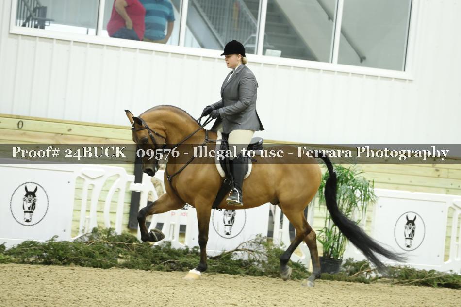 Proof 24BUCK_09576