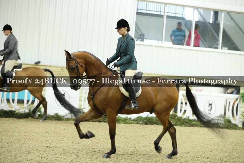 Proof 24BUCK_09577