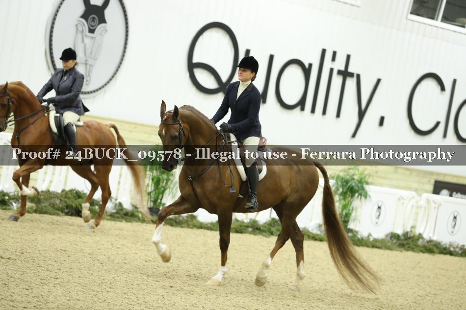 Proof 24BUCK_09578