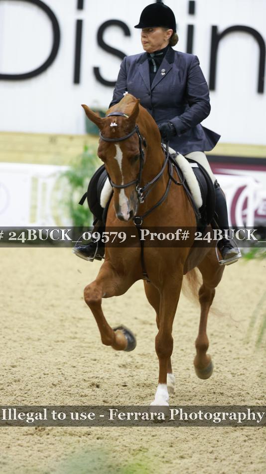 Proof 24BUCK_09579