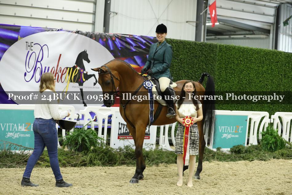 Proof 24BUCK_09581