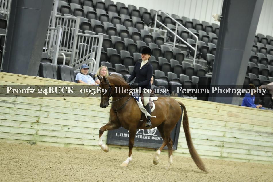 Proof 24BUCK_09589