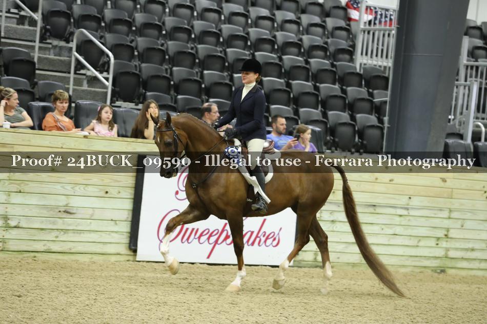 Proof 24BUCK_09590