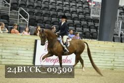 24BUCK_09590 proof