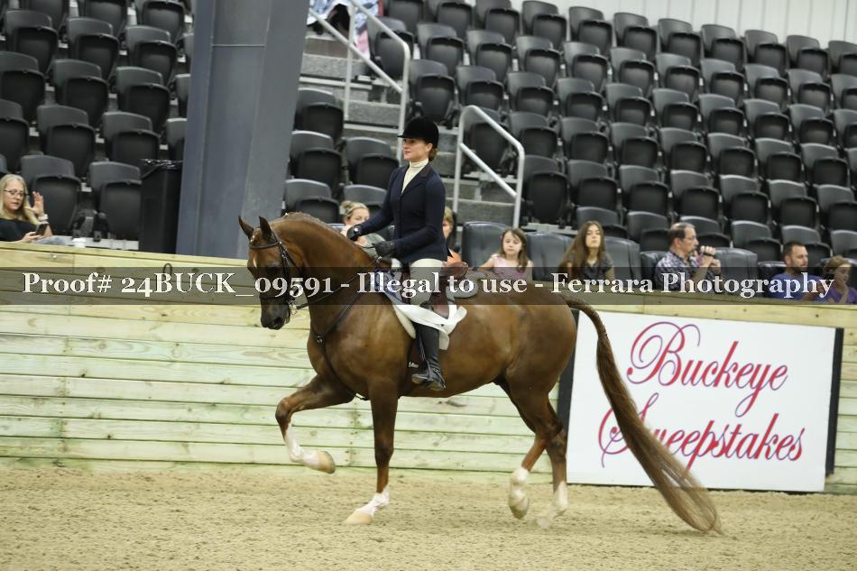 Proof 24BUCK_09591