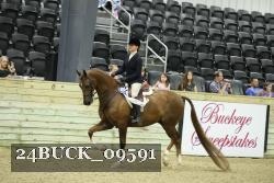 24BUCK_09591 proof