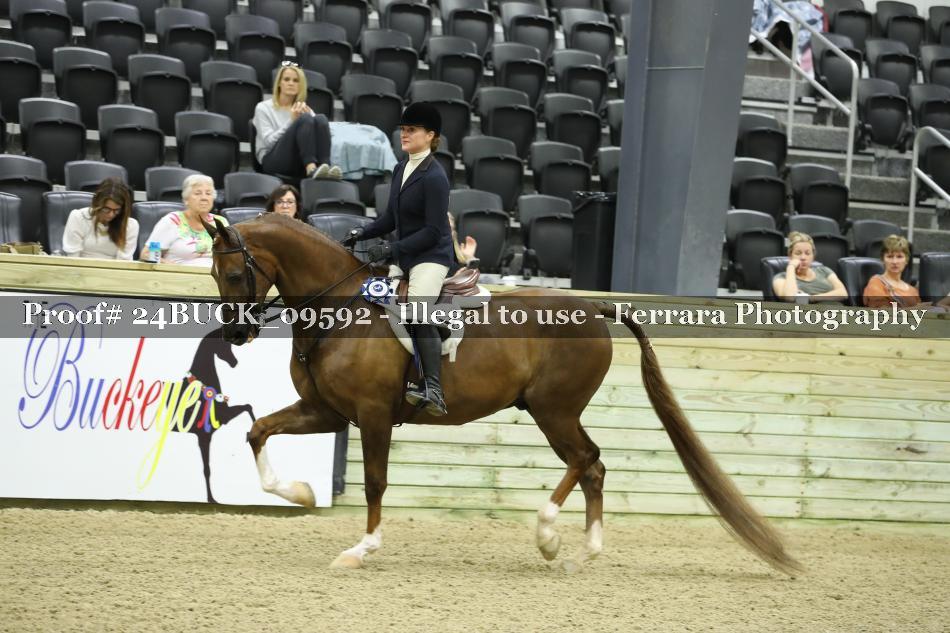 Proof 24BUCK_09592