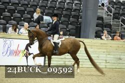 24BUCK_09592 proof