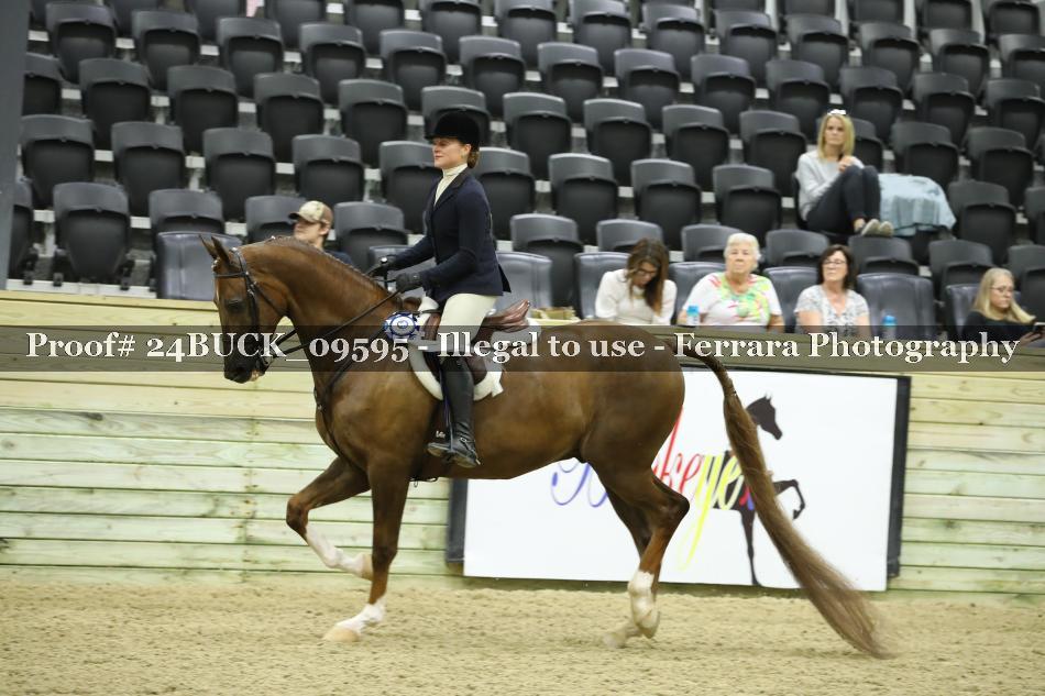 Proof 24BUCK_09595