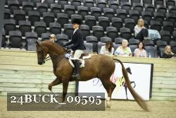 24BUCK_09595 proof