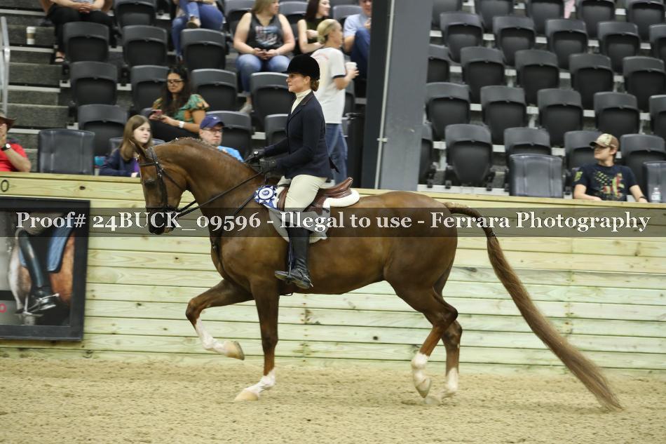 Proof 24BUCK_09596