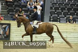24BUCK_09596 proof