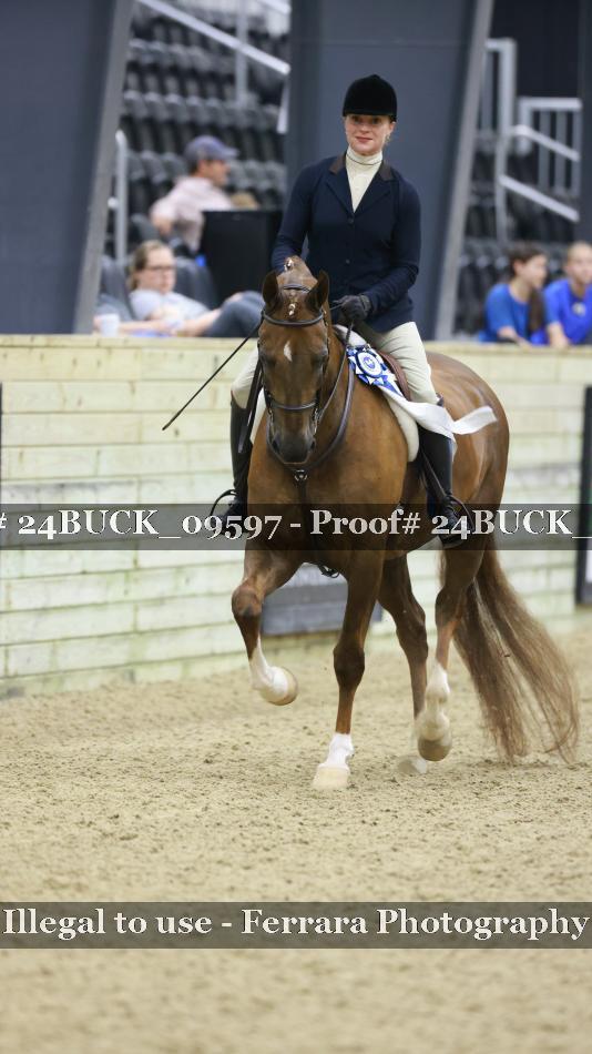 Proof 24BUCK_09597