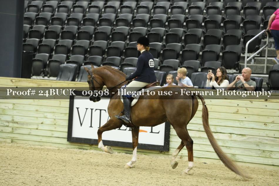 Proof 24BUCK_09598