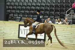 24BUCK_09598 proof