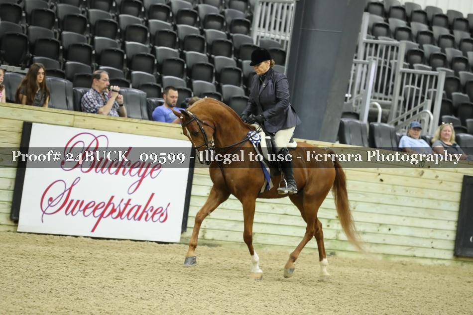 Proof 24BUCK_09599