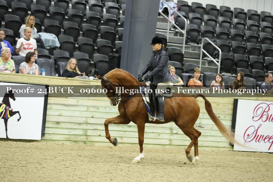 Proof 24BUCK_09600