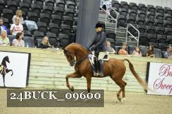 24BUCK_09600 proof