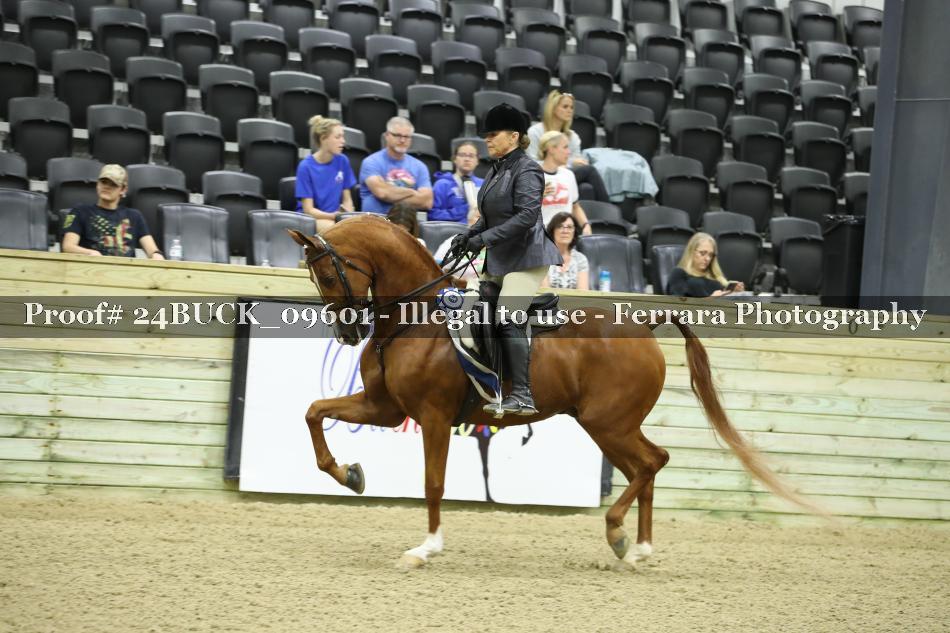 Proof 24BUCK_09601