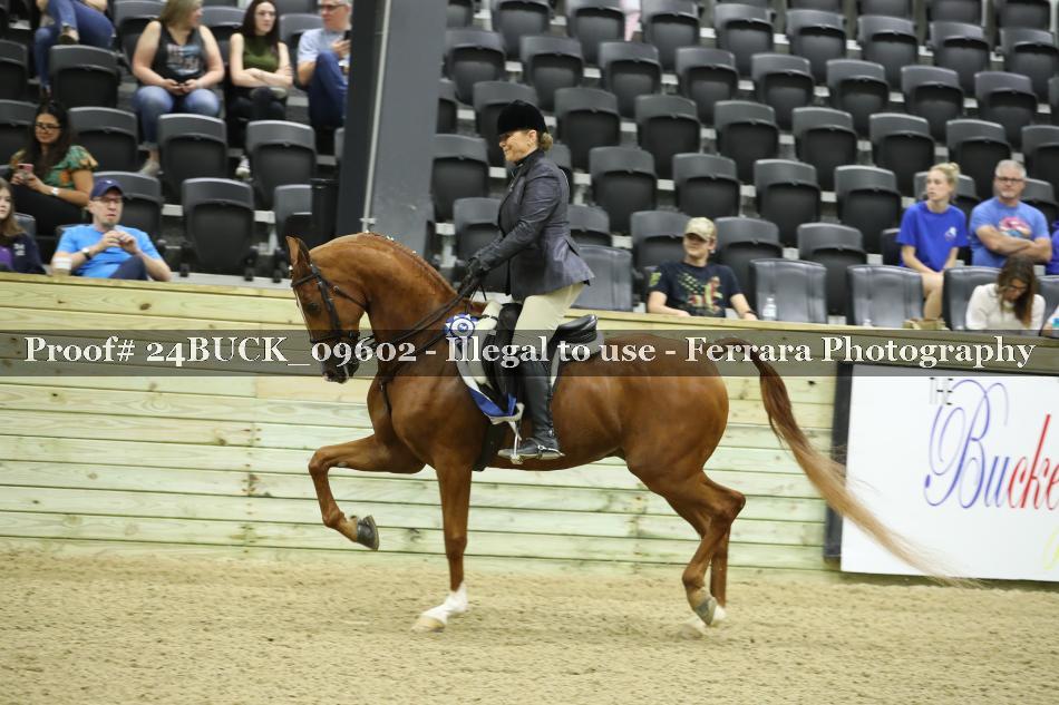 Proof 24BUCK_09602