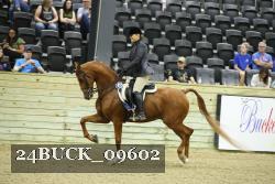 24BUCK_09602 proof