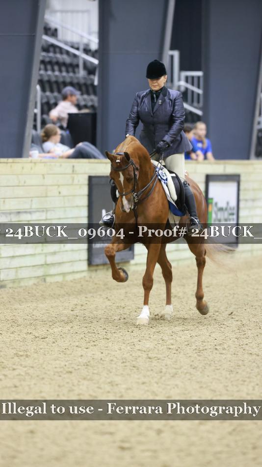 Proof 24BUCK_09604