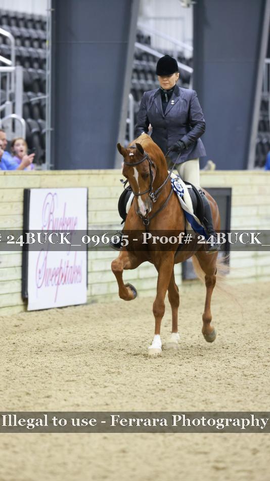 Proof 24BUCK_09605