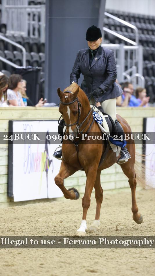 Proof 24BUCK_09606