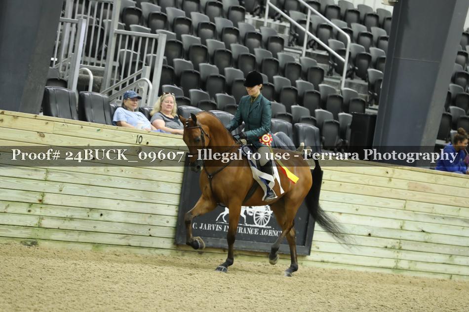 Proof 24BUCK_09607