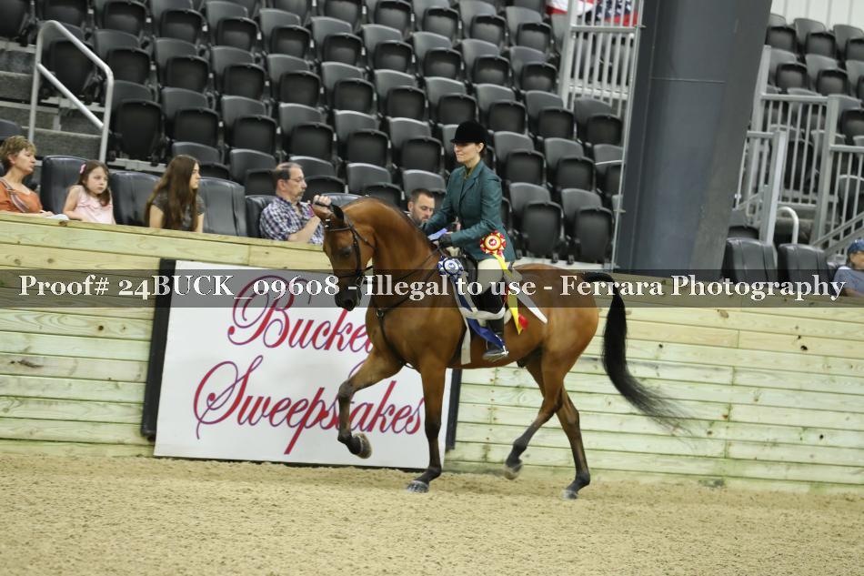 Proof 24BUCK_09608