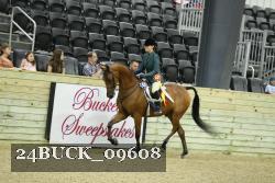 24BUCK_09608 proof