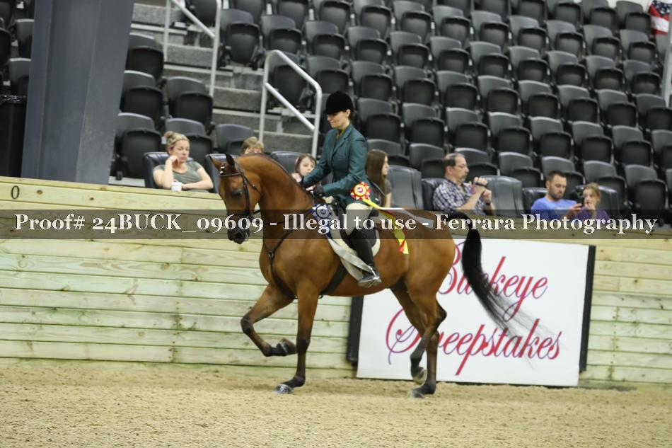 Proof 24BUCK_09609