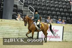 24BUCK_09609 proof