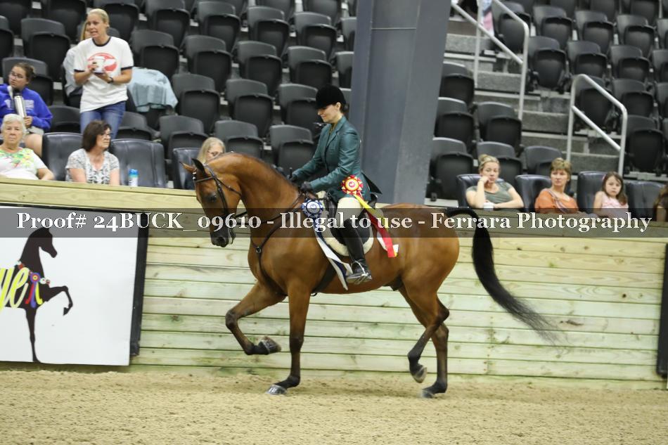Proof 24BUCK_09610