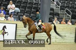 24BUCK_09610 proof