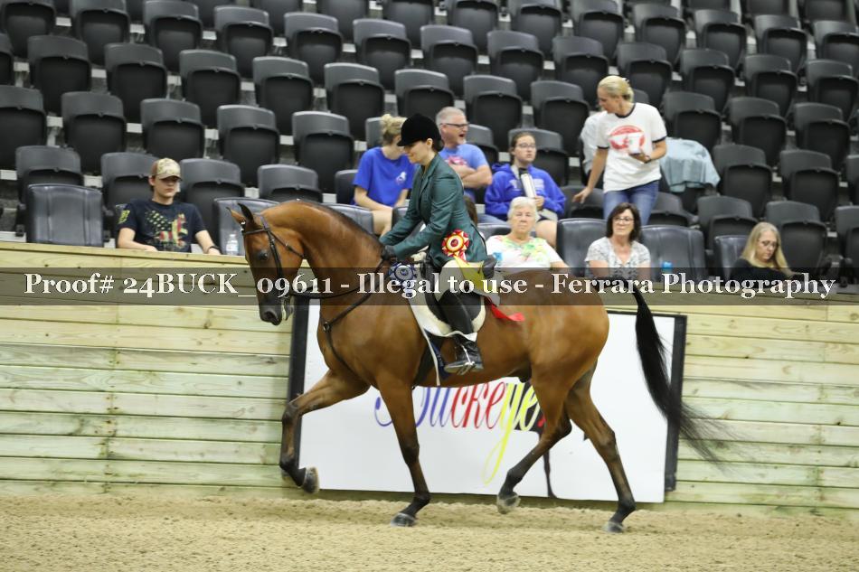 Proof 24BUCK_09611