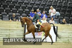 24BUCK_09611 proof
