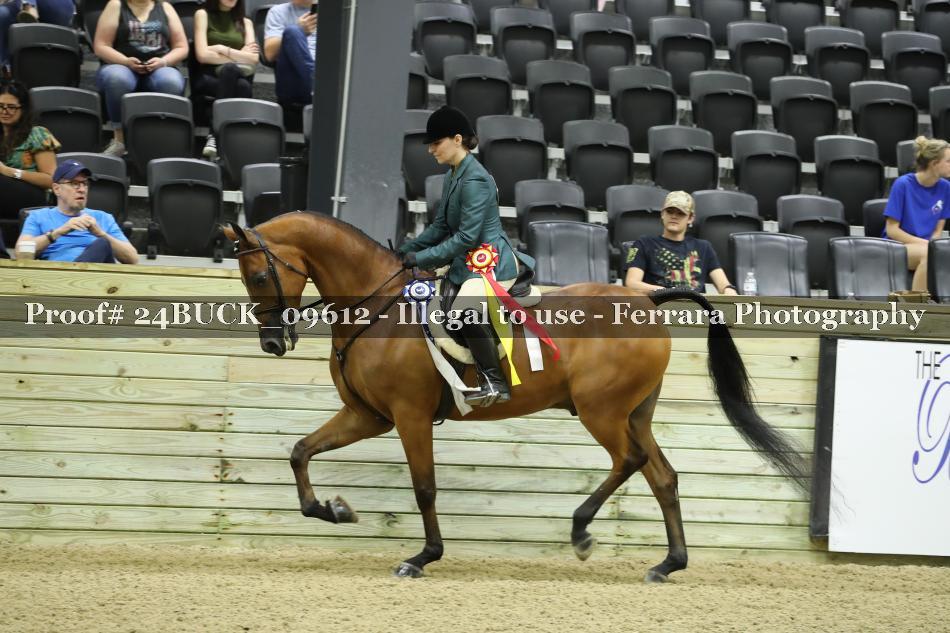 Proof 24BUCK_09612